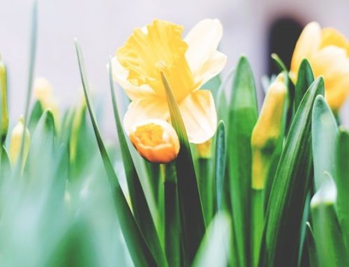 Ostern im Fontana City